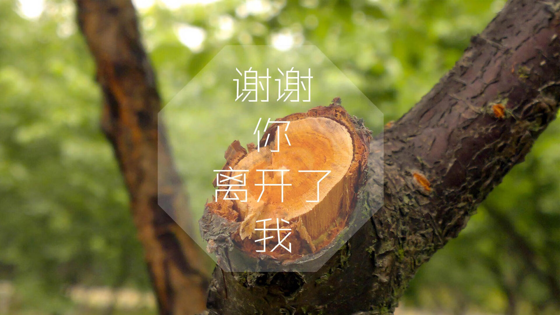 冰火对决，利拉德爆发之夜，吉林队强行终结老鹰不败神话