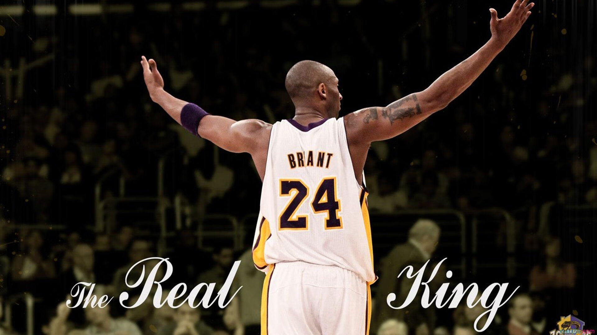 从质疑到掌声，乔治用实力证明自己，灰熊斩落魔术的战术启示